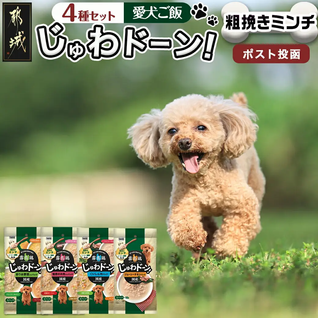 ≪愛犬ご飯≫霧島鶏じゅわドーン!粗挽きミンチ4種セット※ポスト投函〔LC-3303〕_(都城市) 粗挽きミンチ 4種 お野菜 お肉 チキン 犬用 バラエティーパック ポスト投函