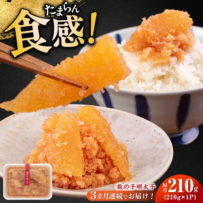 明太子 【全3回定期便】 数の子明太子210g [ABCJ090] 明太子