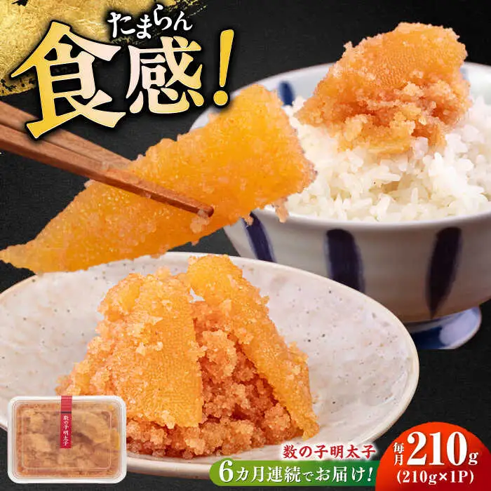 明太子 【全6回定期便】 数の子明太子210g [ABCJ091] 明太子