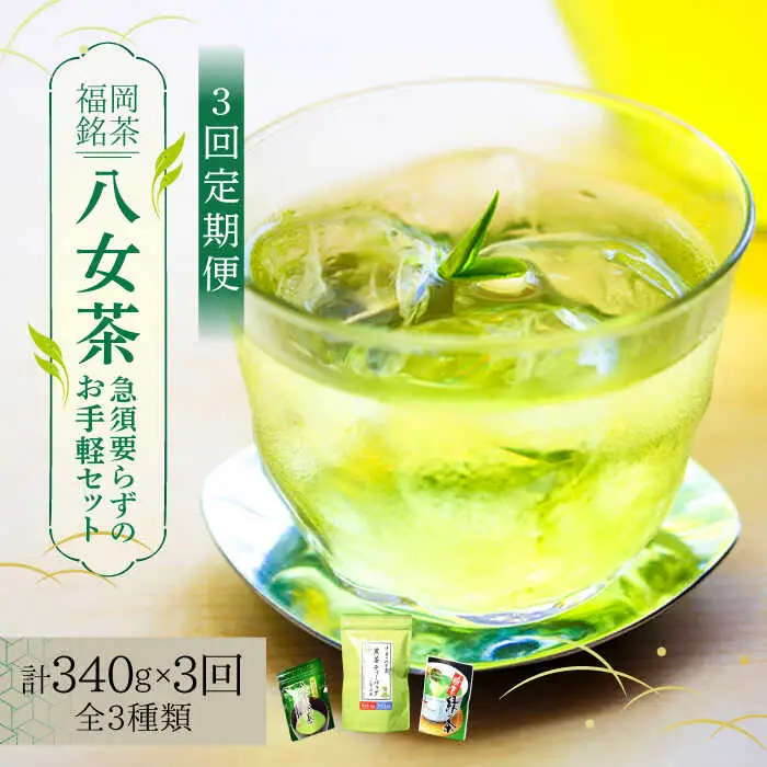 八女茶 【全3回定期便】 福岡銘茶 八女茶 [ABCJ126] 八女茶