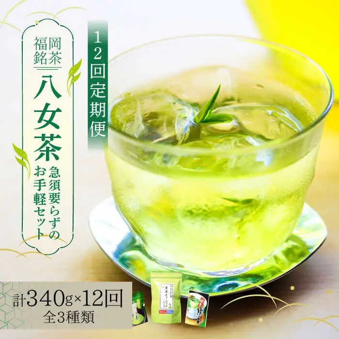 八女茶 【全12回定期便】 福岡銘茶 八女茶 [ABCJ128] 八女茶