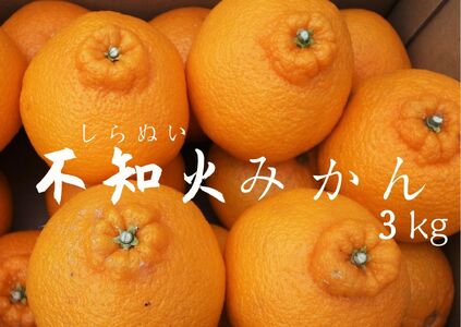 【2027年出荷分】不知火3kg箱セット　【 不知火  みかん  】