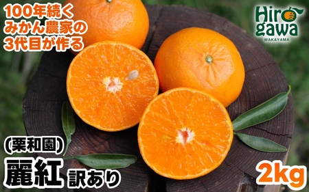 麗紅 れいこう 訳あり 2kg / オレンジ 甘い 家庭用 和歌山 有田 柑橘 ※2027年2月中旬〜3月下旬に順次発送 【krw012-c-2】
