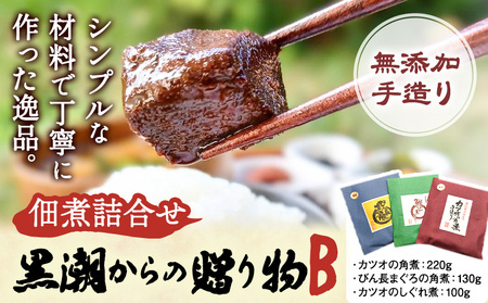 千葉県勝浦市 黒潮からの贈り物B(佃煮詰合せ) 有限会社 佃煮近江《30日以内に出荷予定(土日祝除く)》カツオの角煮 カツオのしぐれ煮 びん長まぐろの角煮【配送不可地域：離島】