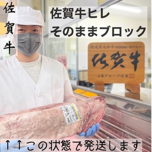 佐賀牛 ヒレ ブロック 5kg 100-J797