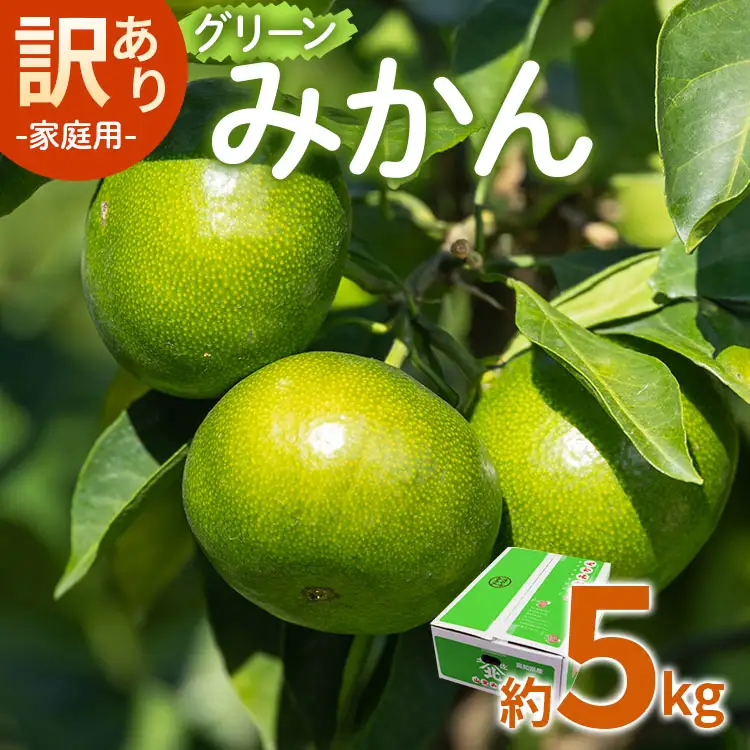 【2026年9月より順次配送】訳あり グリーンみかん 約5kg みかん be-0111
