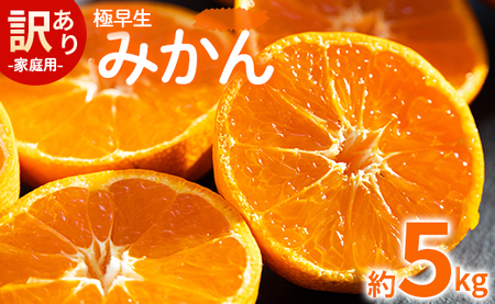 【2026年10月より順次配送】みかん 極早生 5kg 訳あり  極早生みかん be-0112