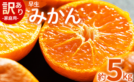 【2026年11月より順次配送】訳あり 早生みかん 約5kg（Lサイズ） みかん be-0115