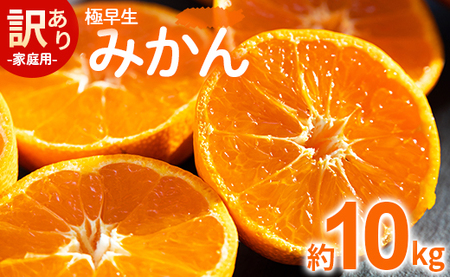 【2026年10月より順次配送】みかん 10kg 極早生 みかん be-0114