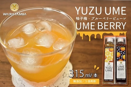 YUZUUME（柚子梅）・UMEBERRY（梅ベリー） 丹波・梅ピューレ 京都 丹波 完熟梅 無添加 5倍希釈 315ml [014WT002]