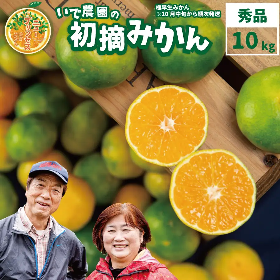 井出農園 極早生 初摘みかん 秀品 S-L混合 10kg