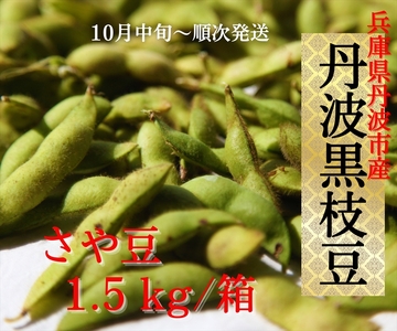 枝豆 丹波黒枝豆 さや 1.5kg 枝豆