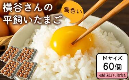 横谷さんの平飼いたまご Mサイズ60個入り 破損保証10個含む 山江村ヤマメ生産組合《30日以内に出荷予定(土日祝除く)》 st-p