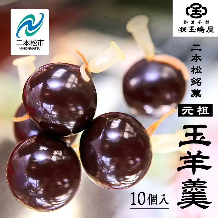 羊羹 玉嶋屋の玉羊羹 10個入り ようかん【株式会社玉嶋屋】