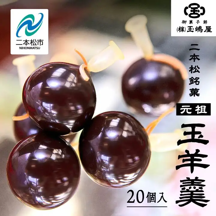 羊羹 玉嶋屋の玉羊羹 20個入り ようかん【株式会社玉嶋屋】