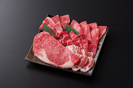 DV087_佐賀県産牛・豚　焼肉セット計550g (5種）