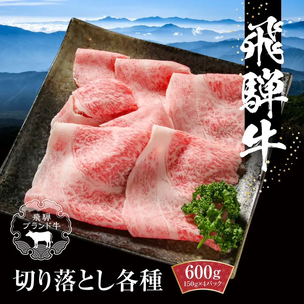飛騨牛 切落とし 600g（約150g×4パック） 冷凍真空パック | 飛騨牛 個包装 小分け MZ001