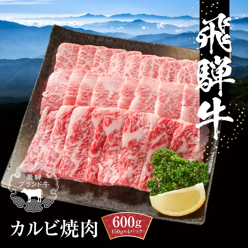 飛騨牛 カルビ焼肉 600g（150g×4パック） | 焼肉 MZ005