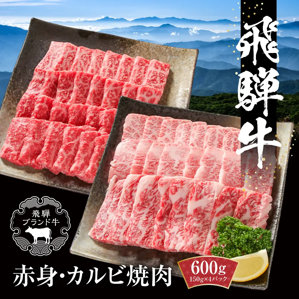 飛騨牛 焼肉 厳選2種盛（赤身・カルビ） 600g（150g×各2パック） | 焼肉 MZ008
