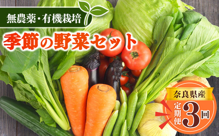 【 定期便 3回 】生命の農法（ 無化学農薬 ・ 無化学肥料栽培 ） 季節 の 野菜 セット | 慈光会自然食品販売所 定期