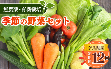 【 定期便 12回 】生命の農法（ 無化学農薬 ・ 無化学肥料栽培 ） 季節 の 野菜 セット | 慈光会自然食品販売所 