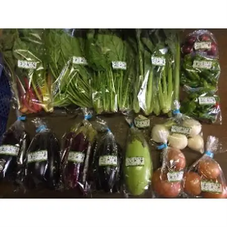 こだわりの”炭素循環農法”で育てた「旬の有機野菜詰合せ」_野菜   _【配送不可地域：離島】【1246834】