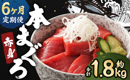【6ヶ月定期便】長崎県産 本マグロ 赤身 300g 2人前～3人前 鮪 魚 刺身 【大村湾漁業協同組合】