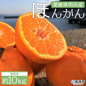 安樹屋 愛媛県明浜産 ポンカン 10kg（家庭用） AYK0006
