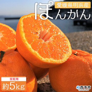 安樹屋 愛媛県明浜産 ポンカン ５kg（家庭用） AYK0005