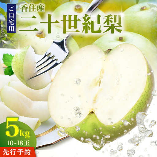 《2027年産 先行予約》二十世紀梨 ご自宅用 優品（Bランク）約5kg（L～5Lサイズ混合/10～18玉）【令和9年8月下旬以降発送予定】20世紀梨 フルーツ 果物 12-20