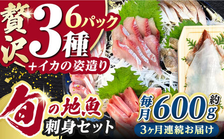 【全3回定期便】対馬 イカ 姿造り と 刺身 の セット 新鮮 海鮮 いか 冷凍 刺身 ケンサキイカ[WAK013]