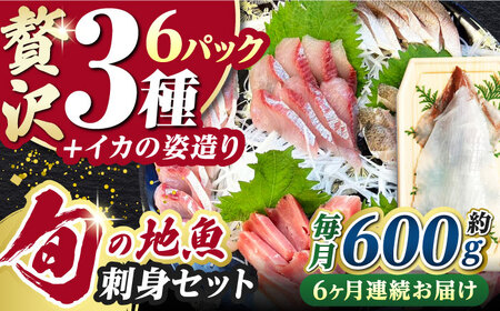【全6回定期便】対馬 イカ 姿造り と 刺身 の セット 新鮮 海鮮 いか 冷凍 刺身 ケンサキイカ [WAK014]