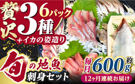 【全12回定期便】対馬 イカ 姿造り と 刺身 の セット 新鮮 海鮮 いか 冷凍 刺身 ケンサキイカ [WAK015]