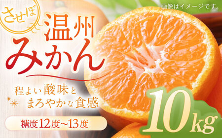 させぼ温州みかん 10kg [OAG007]  みかん