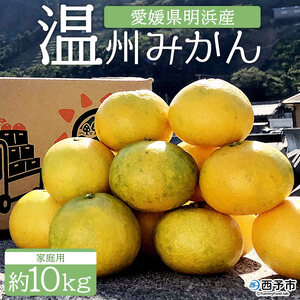 ＜安樹屋 愛媛県明浜産 温州みかん（早生） 約10kg 家庭用＞ 柑橘類 みかん ミカン 蜜柑 果物 くだもの フルーツ 安樹屋 愛媛県 西予市 【常温】『2025年11月中旬～11月末迄に順次出荷予定』AYK0004