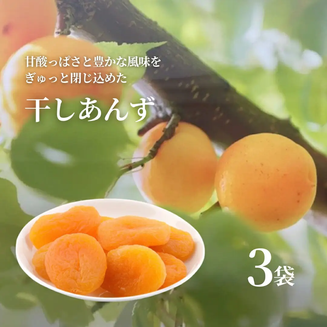 干しあんず 約100g×3袋 ｜ あんず