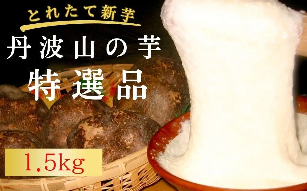 【芋家なか吉】プレミアム丹波山の芋特選品1.５kg［ 京都 芋 いも イモ 新鮮 野菜 人気 おすすめ お取り寄せ 通販 ふるさと納税 ］
