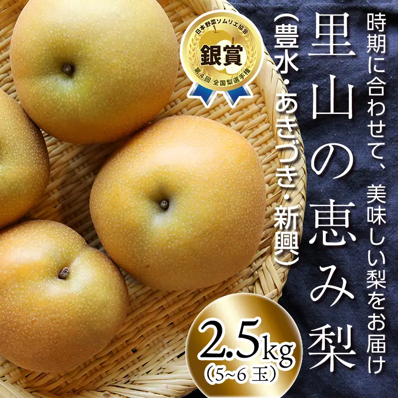 FKP9-717 【先行予約】里山の恵み梨（約2.5kg）