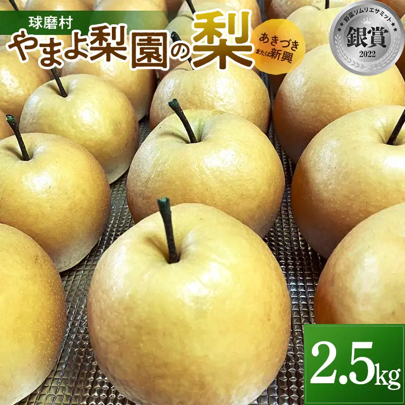 FKP9-715 【先行予約】やまよ梨園の梨2.5kg (あきづき・新興 いずれか)