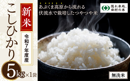 米 無洗米 令和7年産 福島県産 コシヒカリ 5kg 福島県 田村市