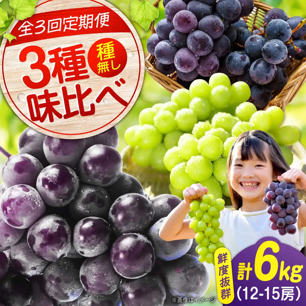 【全3回定期便】3種の沼隈ぶどう定期便 各2kg [BAEV003] ピオーネ ニューベリーA シャインマスカット