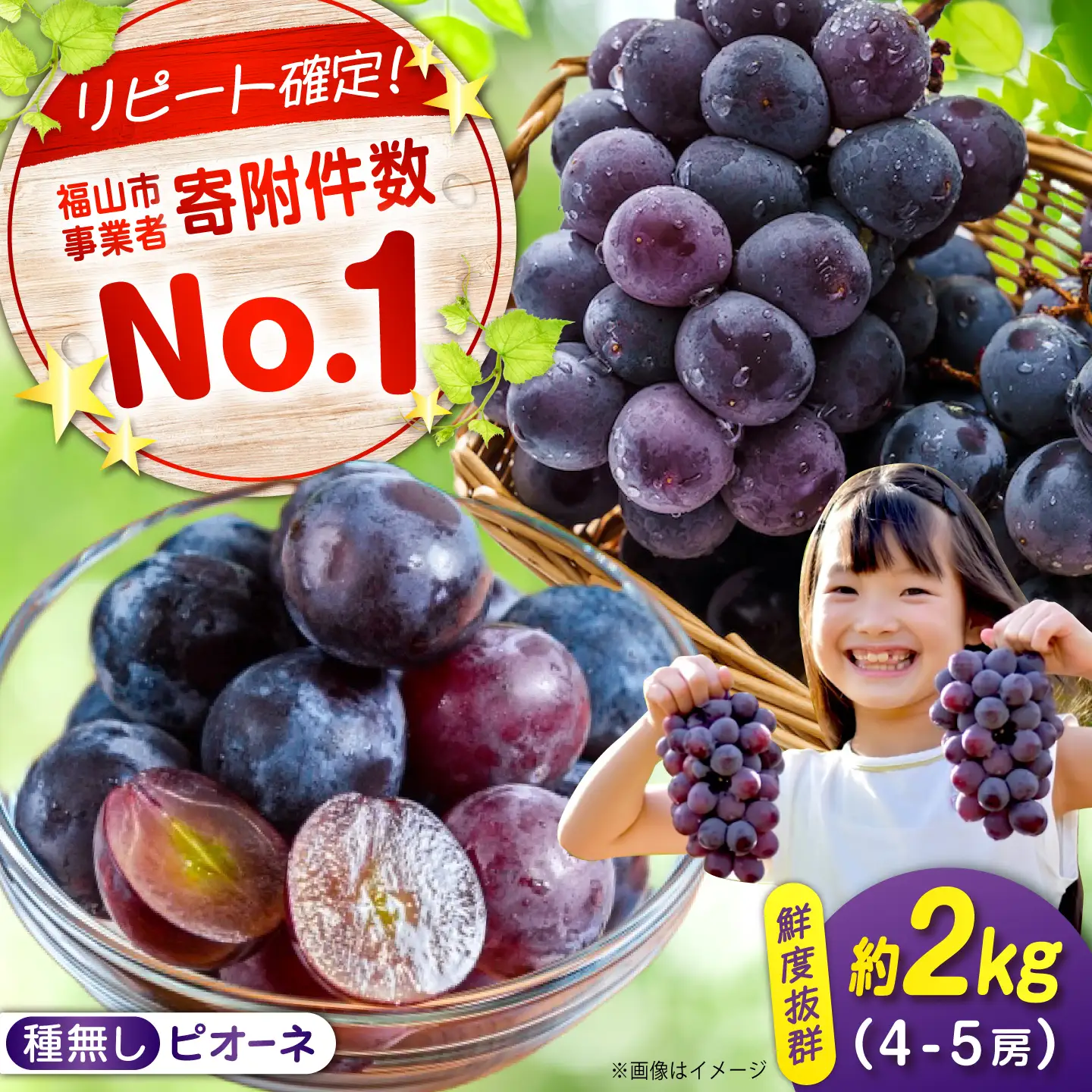 【期間限定/8月下旬〜9月上旬頃発送】沼隈ぶどう「ピオーネ」 約2kg [BAEV002]ピオーネ