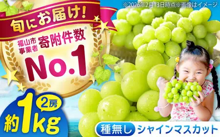 福山市産シャインマスカット 約1kg【2026年発送】 [BAEV005] シャインマスカット