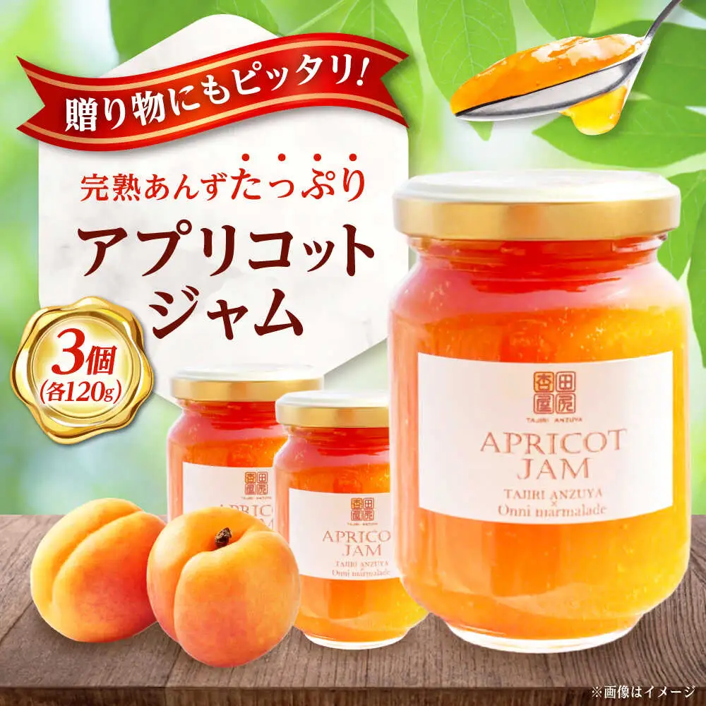 田尻あんず アプリコットジャム 3個入り [BAEK001] ジャム