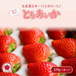 いちご とちあいか 270g×4パック ※2027年1月～発送