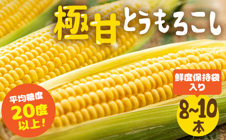 《先行予約》 極甘とうもろこし 8～10本 鮮度保持袋入り とうもろこし