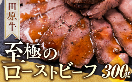 【プレミアム】至極の田原牛 赤身 ローストビーフ 300g 牛肉 カット済 ブランド牛 タレ ソース 付き クリスマス 年末 パーティー お祝い 高級 人気 小分け 国産牛 国産 田原牛 愛知県 田原市 