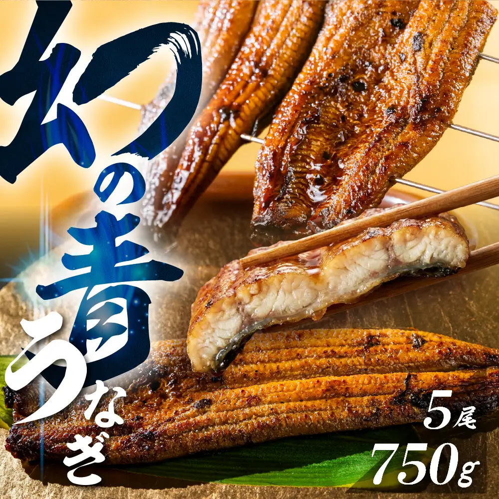 厳選 幻の青うなぎ 5尾 丑の日 うなぎ