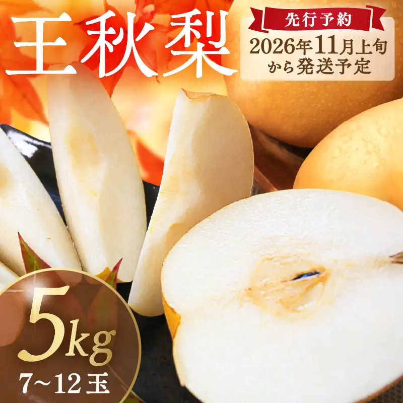 梨／王秋梨【先行予約／数量限定200】農家直送 秋の王様 「王秋」5kg（概ね7玉～12玉）（2026年11月上旬～発送）梨 なし ナシ 王秋梨 5キロ 予約 果物 くだもの フルーツ 期間限定 国産