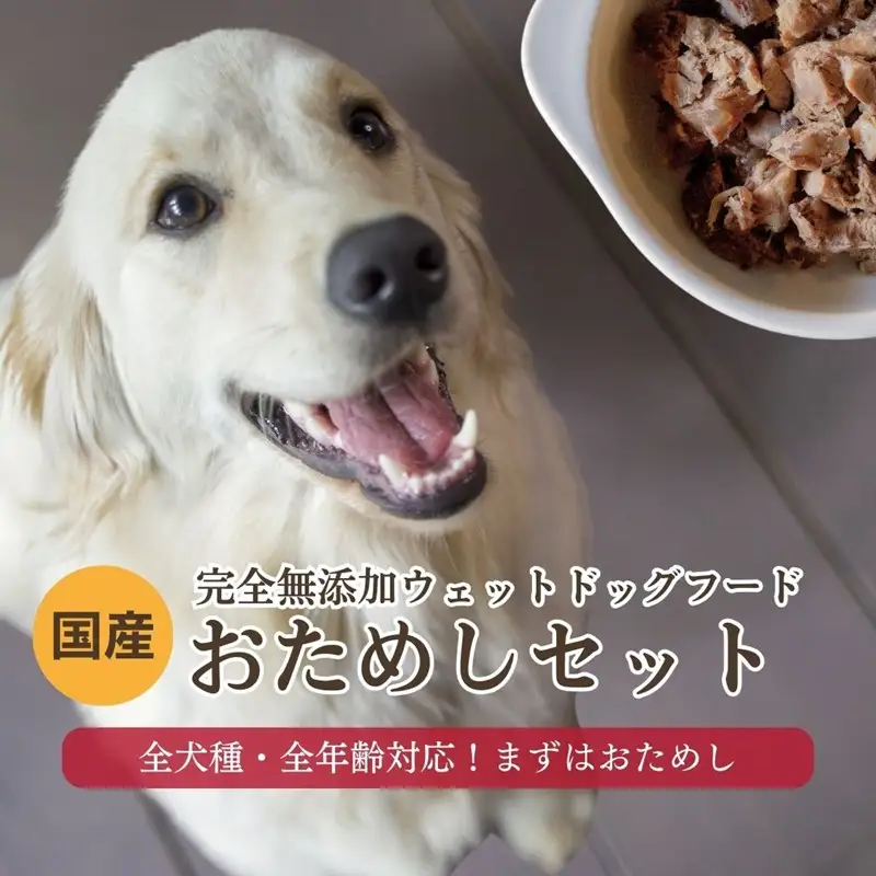 [無添加ウェットドッグフード] 国産ゆで鹿肉＆鹿スープ　お試しセット